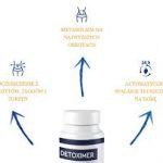 Detoximer  - apteka - skład - premium - cena  - forum - opinie