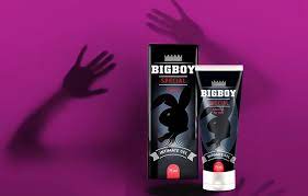 Bigboy - producent - premium - zamiennik - ulotka